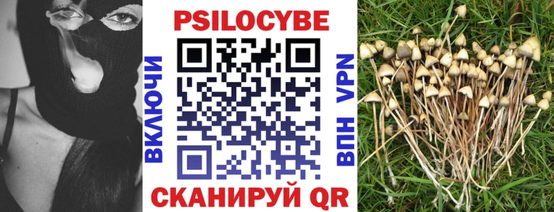 Псилоцибиновые грибы Magic Shrooms  где купить наркотик  Петров Вал 